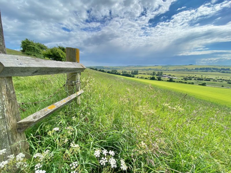 South Downs Way. Image © PlanetSKI
